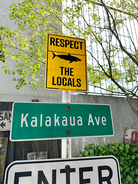 ϥ磻󥵥ܡɡʥ/RESPECT THE LOCALS