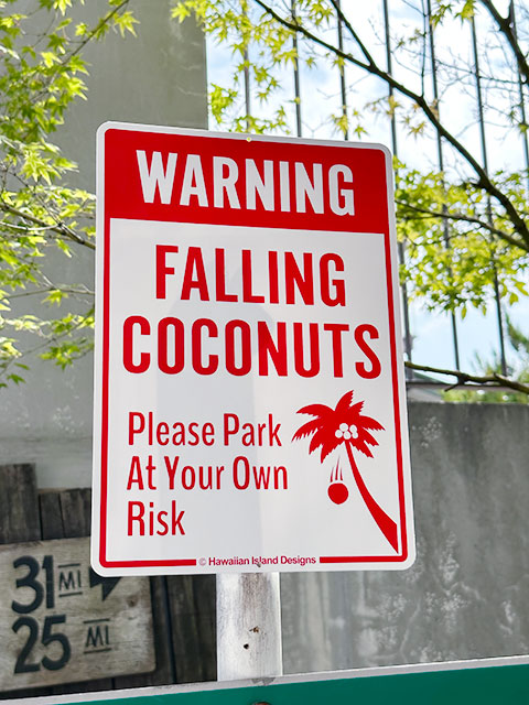 ϥ磻󥵥ܡɡʥʥåĤա