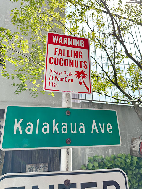 ϥ磻󥵥ܡɡʥʥåĤա