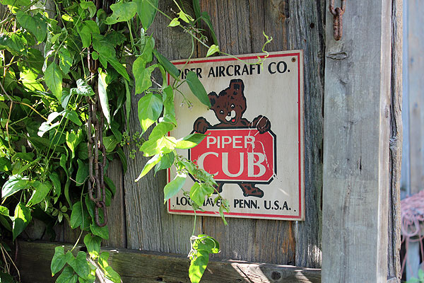 �ΤΥ��ɥХ������󥰡����åɥ����󡡥��꡼���軰�ơ��ʥѥ��ѡ�����������եȡ�