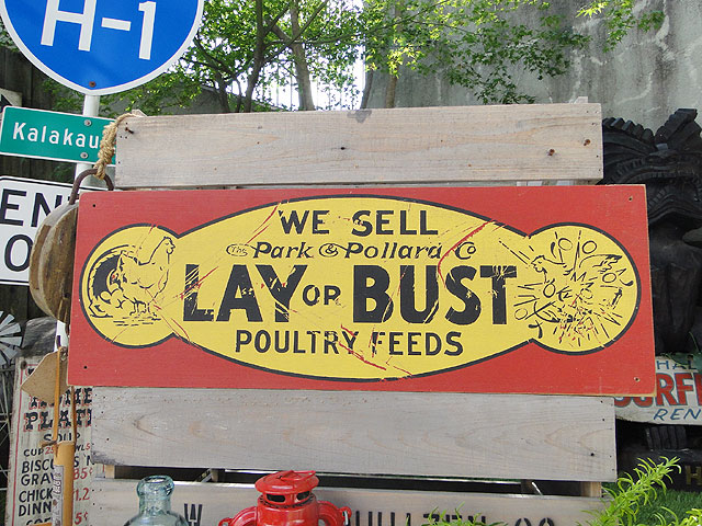 ΤΥɥХ󥰡åɥ󡡡ʥ쥤Хȡ