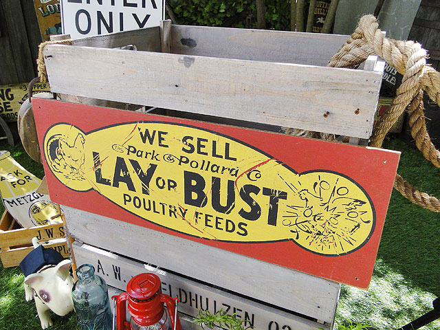 ΤΥɥХ󥰡åɥ󡡡ʥ쥤Хȡ