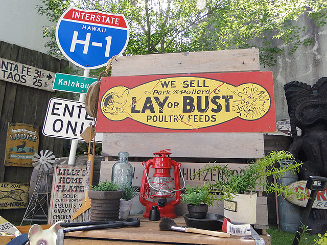 ΤΥɥХ󥰡åɥ󡡡ʥ쥤Хȡ