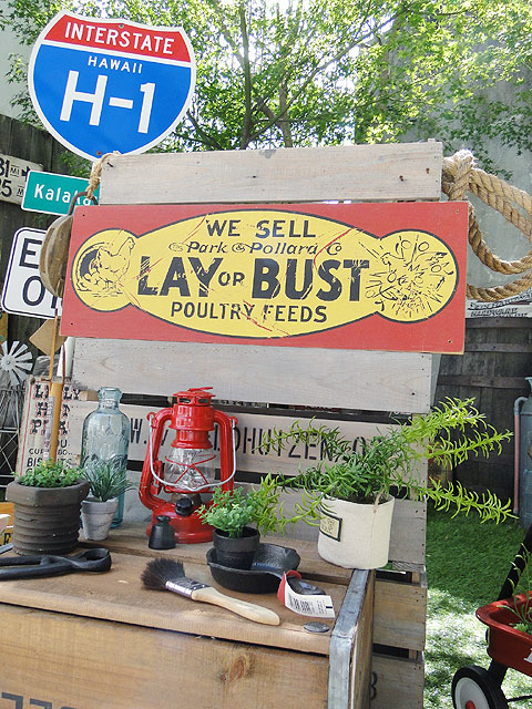 ΤΥɥХ󥰡åɥ󡡡ʥ쥤Хȡ