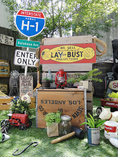 ΤΥɥХ󥰡åɥ󡡡ʥ쥤Хȡ