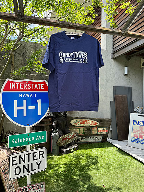 �����ǥ���������ե�����롡T����ġ���ߥƥåɥ��顼���ʥͥ��ӡ���