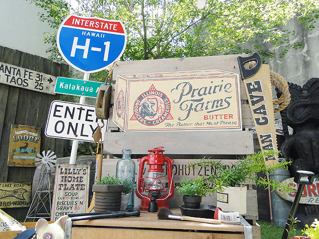 ΤΥɥХ󥰡åɥ󡡡ʥץ졼꡼ե