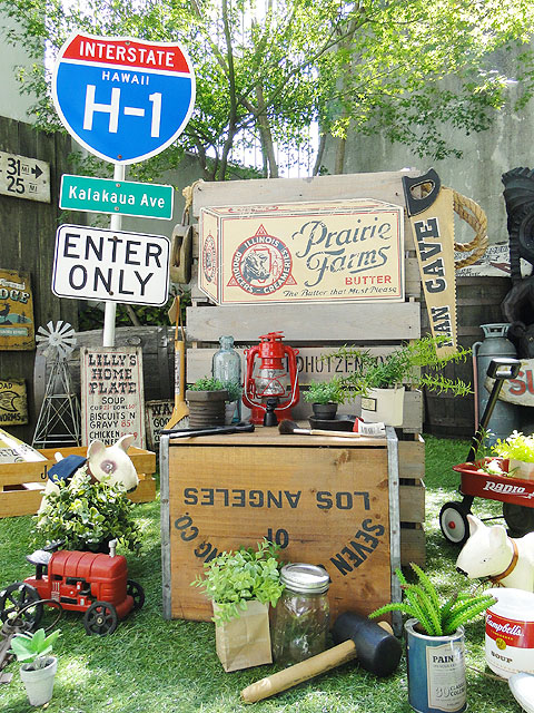 ΤΥɥХ󥰡åɥ󡡡ʥץ졼꡼ե