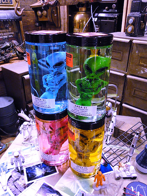 �߷������5000�����ˡ������ꥢ51�������ꥢ��Υۥ�ޥ���Ҥ�����4ɤ���åȡˡ����νꤵ�����仿������ë�١����˾����Ƥޤ���niko and ...���˥������