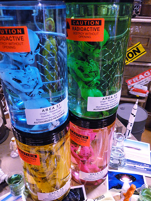 �߷������5000�����ˡ������ꥢ51�������ꥢ��Υۥ�ޥ���Ҥ�����4ɤ���åȡˡ����νꤵ�����仿������ë�١����˾����Ƥޤ���niko and ...���˥������