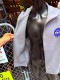 NASA�������åȥ�������ƥ����ȡ����ե�����롡�ե른�åס��������åȥ���ġ��ʥ��졼��