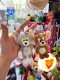 �ȥ�ȥ����꡼���̤�����ߥ����ۥ��������2�Υ��åȡ�