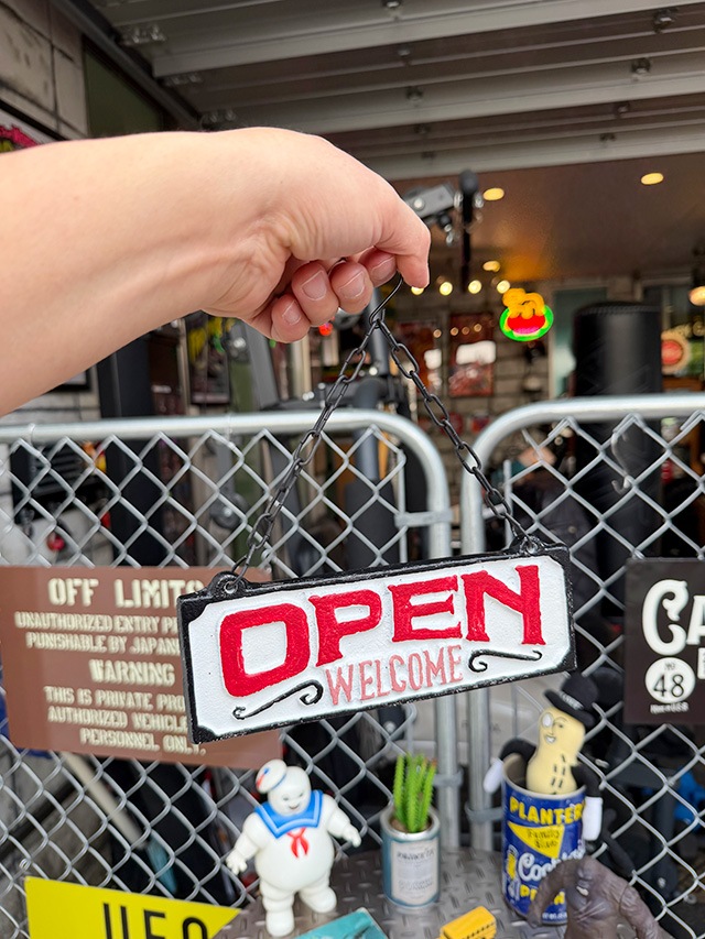 �����ץ���������������㥹�ȥ������������ϥ󥮥󥰥�����