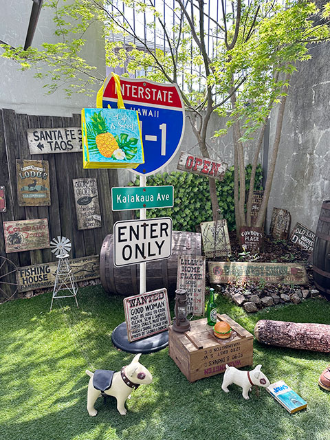 ϥ磻󡡥Хåʥѥʥåץ