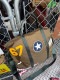 P-40���إ��åȥХå���RED CANOE����åɥ��̡�