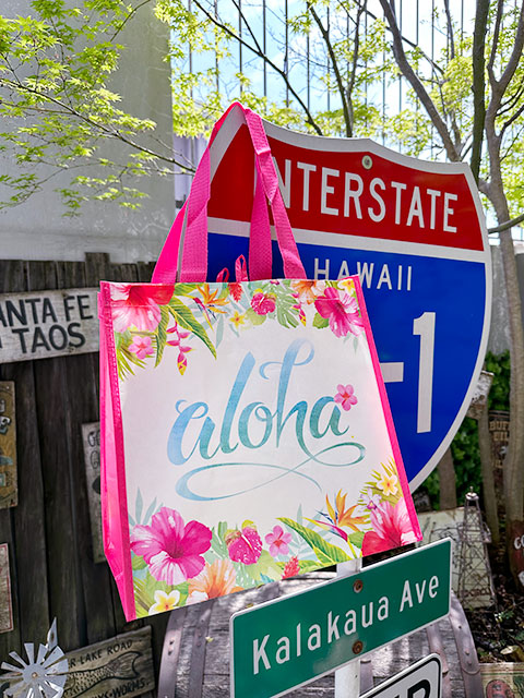 �ϥ磻���󡡥����Хå����ʥϥ��ӥ�������