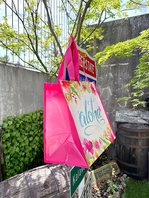 �ϥ磻���󡡥����Хå����ʥϥ��ӥ�������