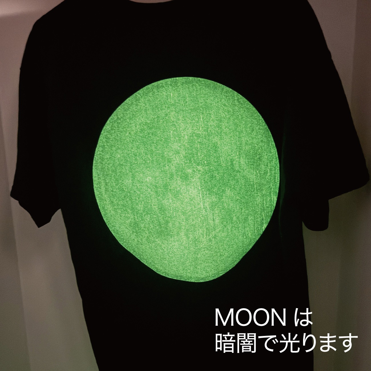 �ŰǤǸ��롪�߸����͡�NASA���ࡼ�󡡥��ե�����롡T����ġ��ʥۥ磻�ȡ�
