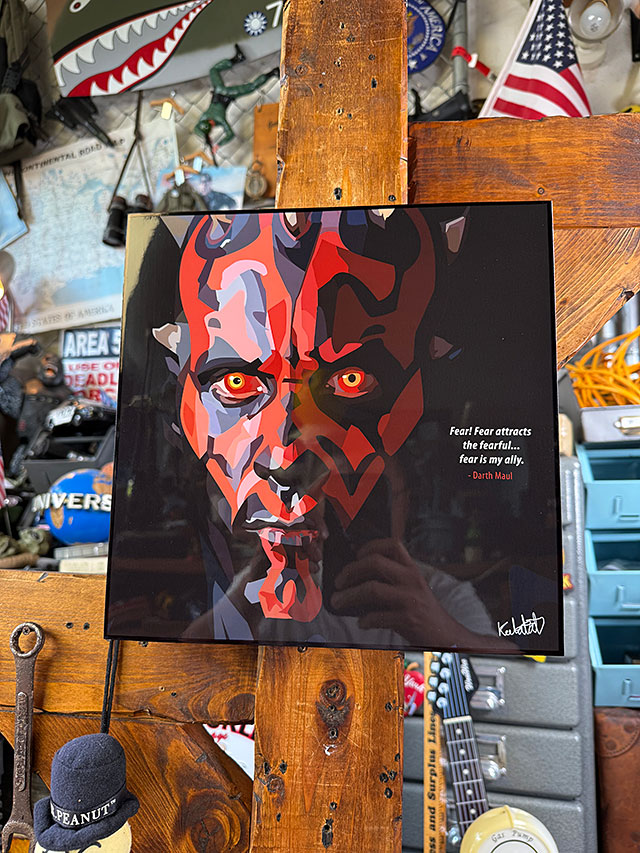 �ǲ衡�������������������������⡼�롡�ݥåץ����ȥե졼�ࡡ#230���������⡼��