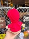 E.T.���֤��ѡ��������̤�����ߡ�S������