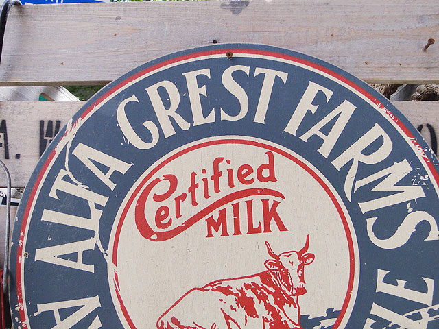 ΤΥɥХ󥰡åɥ󡡡ʥ륿쥹ȡ