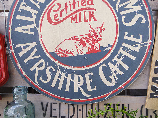 ΤΥɥХ󥰡åɥ󡡡ʥ륿쥹ȡ