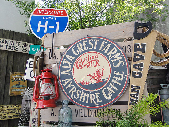 ΤΥɥХ󥰡åɥ󡡡ʥ륿쥹ȡ