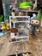 �ե��󥳥ݥåס��ǲ衡�ϥ꡼�ݥå������ϥ꡼���ե����奢��FUNKO POP!