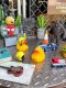 �ࡼ�󡡥�С����å���ñ�ʡ��ࡼ�󥢥���