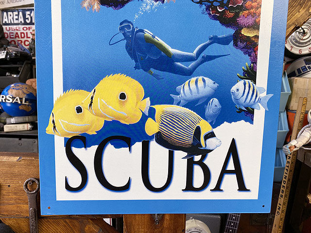 �����塼�С������ӥ󥰡��֥ꥭ����