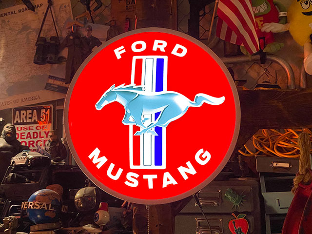 �ե����ɡ��ޥ����󥰡����ե������LED�ɡ��ॵ����