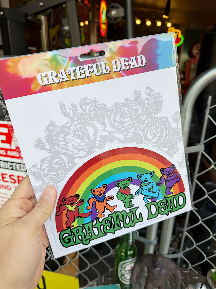 ���쥤�ȥե�ǥåɡ�20cm�磻�ɡ��ӥå������������ƥå������ʥ쥤��ܡ������󥷥󥰥٥�����