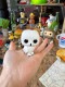 �ե��󥳥ݥåס��ǲ衡�ϥ꡼�ݥå������إɥ��������ե����奢��FUNKO POP!