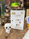 �ե��󥳥ݥåס��ǲ衡�ϥ꡼�ݥå������إɥ��������ե����奢��FUNKO POP!