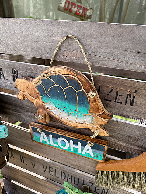 ϥ磻󡡥ۥ̡륫ࡡϥ󥮥󥰥