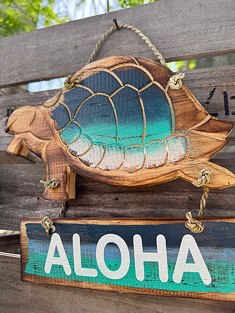 ϥ磻󡡥ۥ̡륫ࡡϥ󥮥󥰥