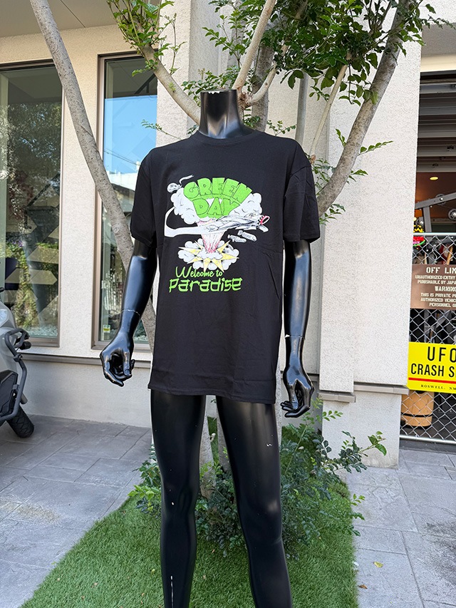 ���꡼��ǥ������ե�����롡�ѥ��������T����ġ��������å�