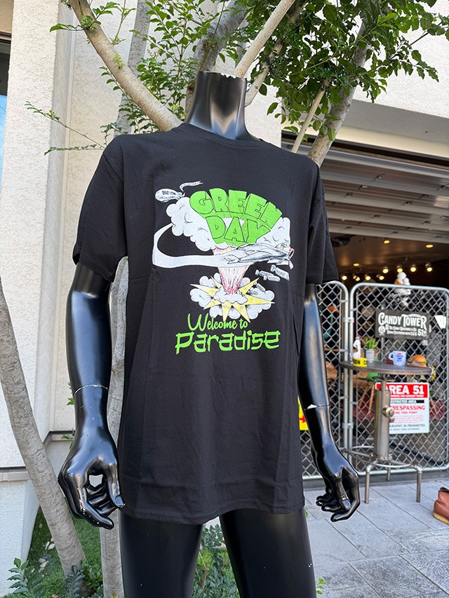 ���꡼��ǥ������ե�����롡�ѥ��������T����ġ��������å�