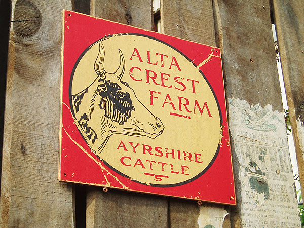 ΤΥɥХ󥰡åɥ󡡥꡼ơʥ륿쥹ȥե