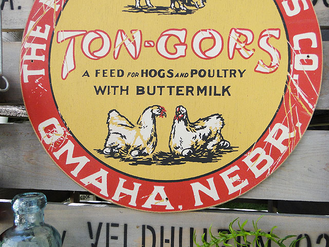 ΤΥɥХ󥰡åɥ󡡡ʥ󥴡