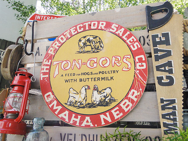 ΤΥɥХ󥰡åɥ󡡡ʥ󥴡