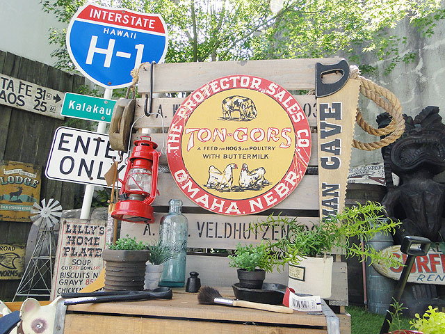 ΤΥɥХ󥰡åɥ󡡡ʥ󥴡