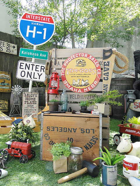 ΤΥɥХ󥰡åɥ󡡡ʥ󥴡