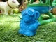 ���꡼��ȥ���������ꥫ�λҶ��Υ�����㡡Ư�����ʪ���ʥإꥳ�ץ����ˡ�MADE IN U.S.A.