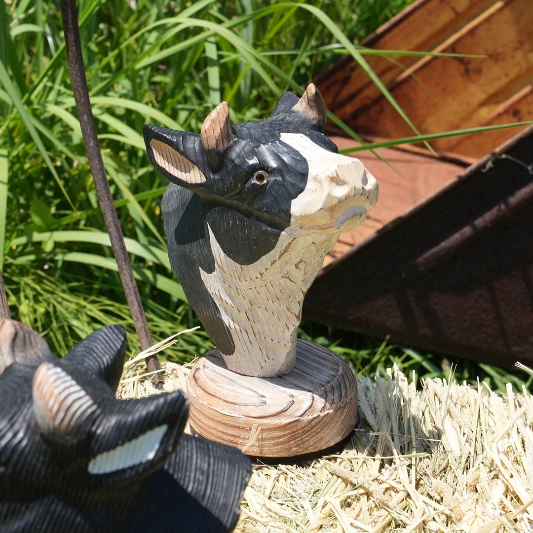 ����ȥ󡡥��åǥ󡡥��˥ޥ�إåɡ���5�Υ��åȡ�