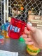 ICEE�����������������å��󥰥ޥ����ʥ�åɡˡ�ñ��