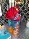 ICEE�����������������å��󥰥ޥ����ʥ�åɡˡ�ñ��