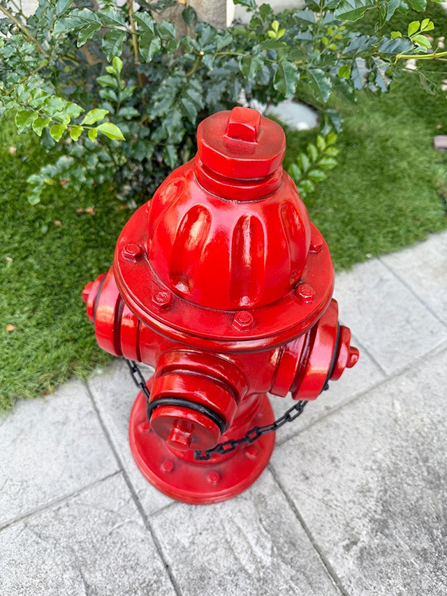 ����ꥫ�ξò��򡡥ꥢ�륪�֥������ʥ�åɡ�