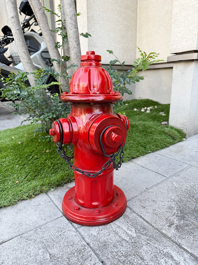 ����ꥫ�ξò��򡡥ꥢ�륪�֥������ʥ�åɡ�