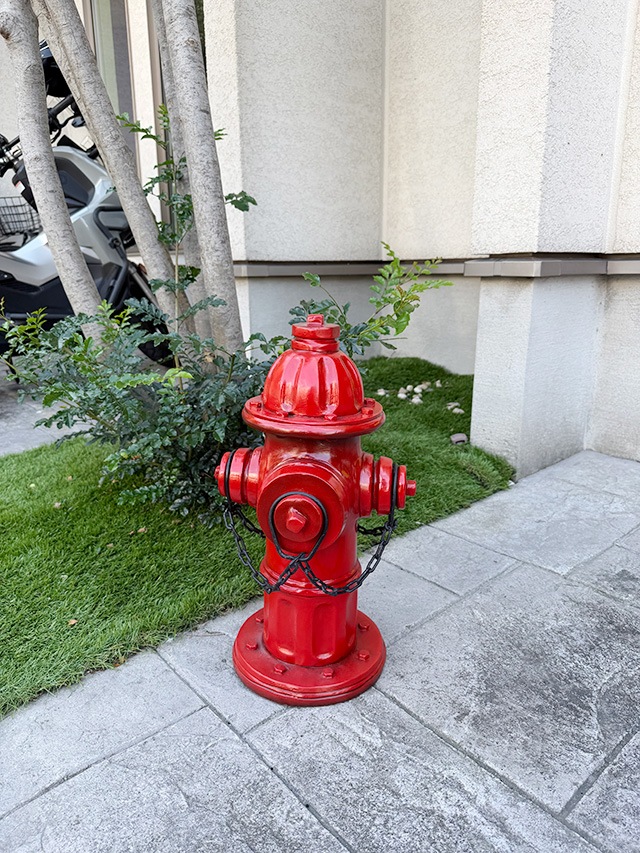 ����ꥫ�ξò��򡡥ꥢ�륪�֥������ʥ�åɡ�